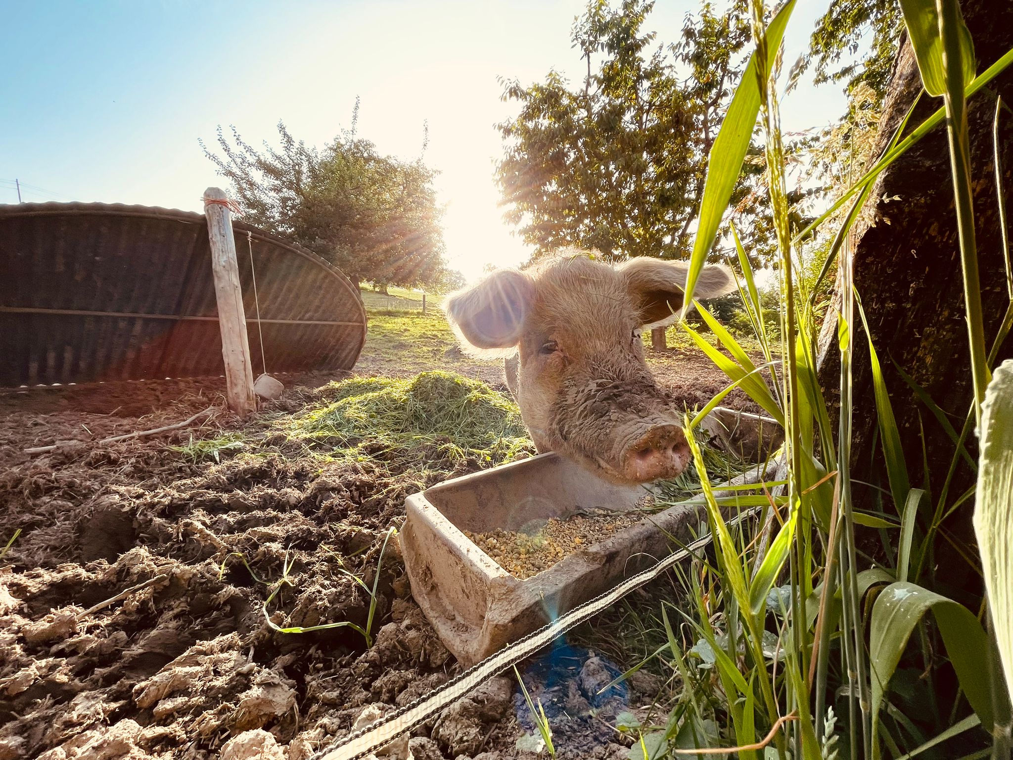 Retreat Impression 1