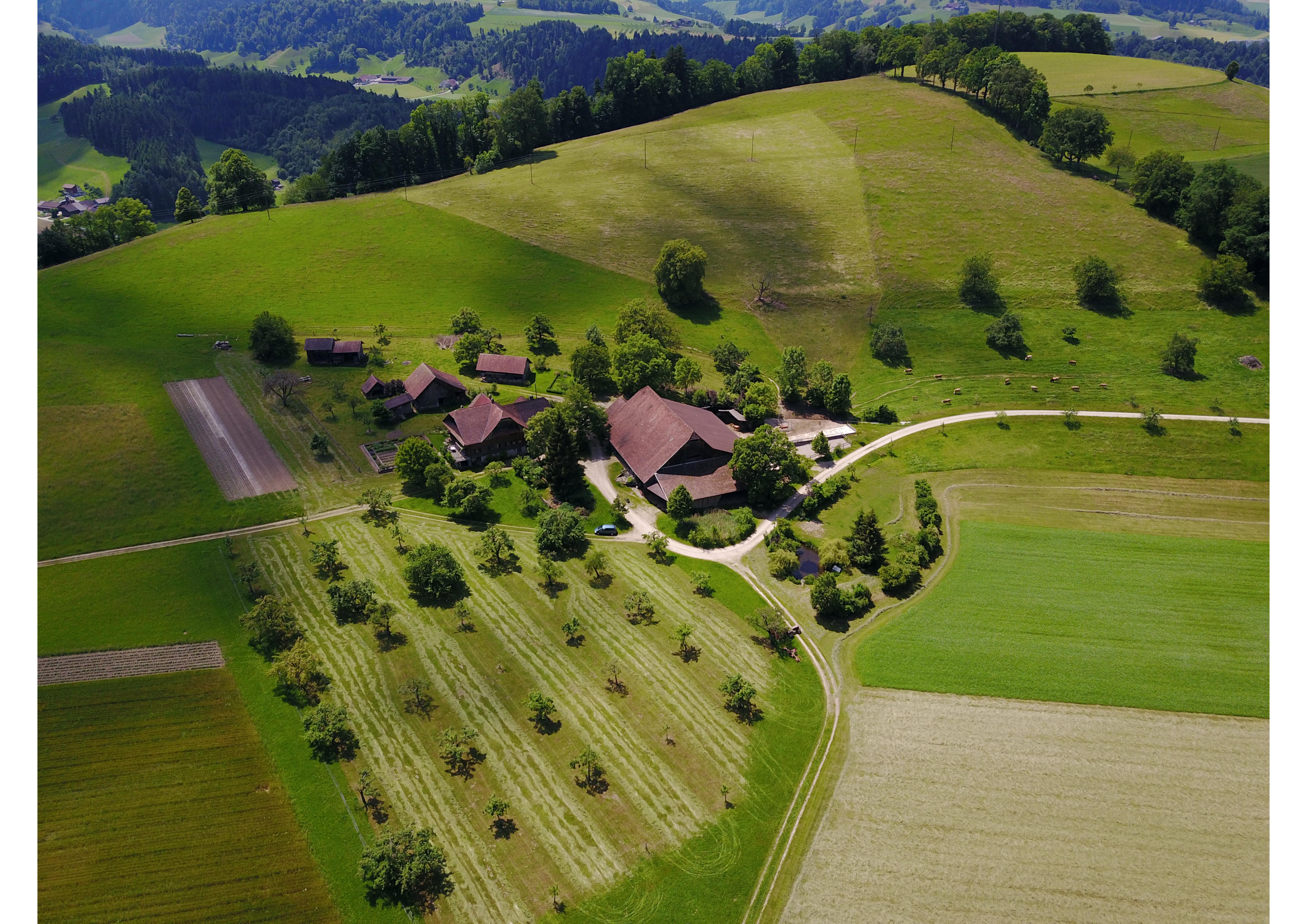 Luftaufnahme Biohof Wellberg