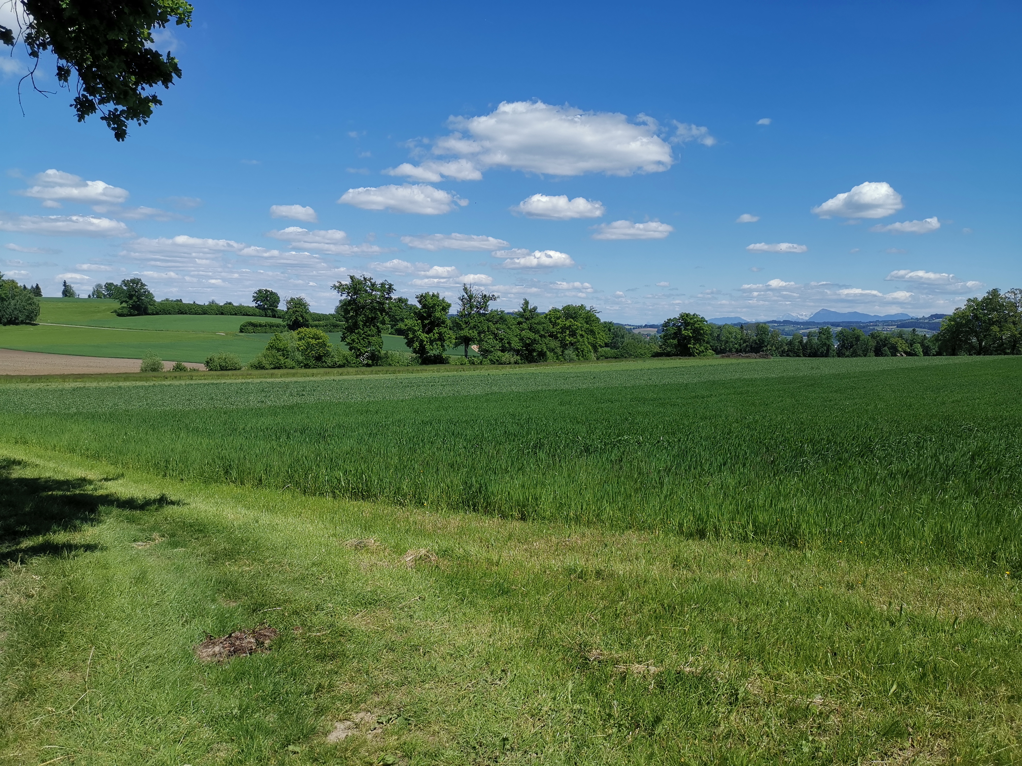 Biodiversit&auml;t auf dem Biohof